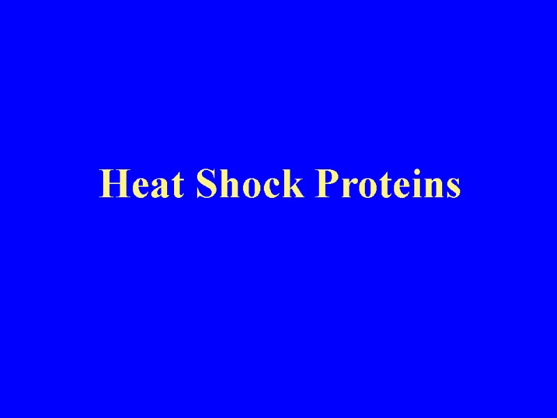 Heat Shock Proteins